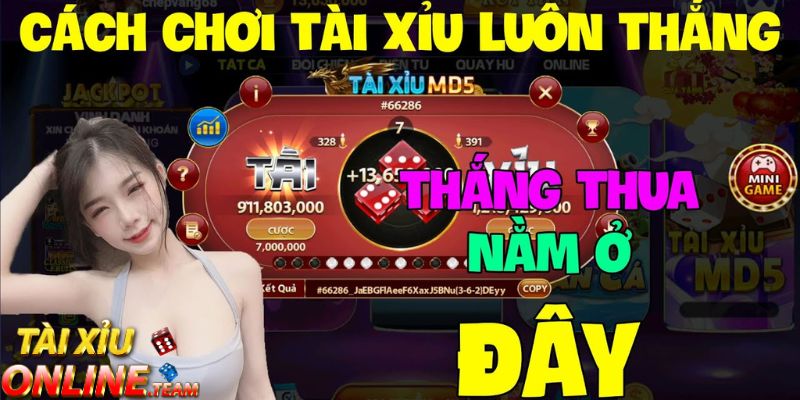 Hướng dẫn cách chơi tài xỉu online