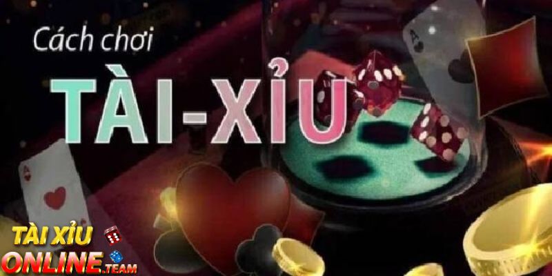 Quy trình chơi