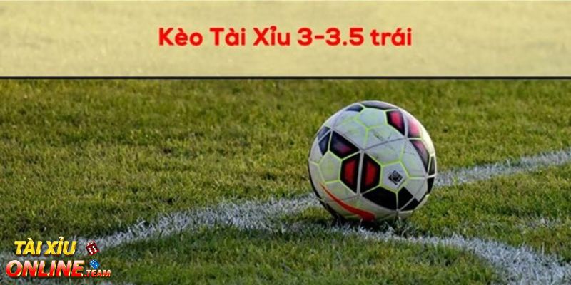 Sự phù hợp với nhiều phong cách chơi